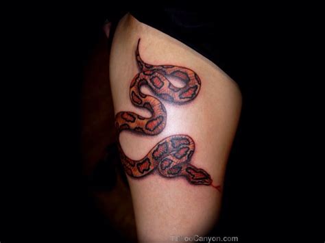 Aggregate 61+ copperhead snake tattoo - in.cdgdbentre