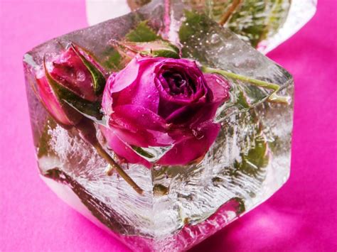 Una forma sencilla de hacer cubitos de hielo con pétalos de flores