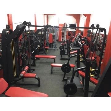 Descubrir Imagen Paquetes Para Gimnasio Viaterra Mx