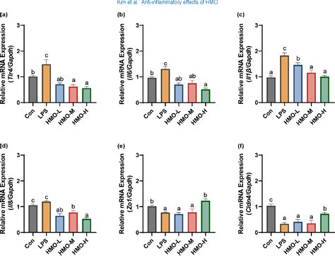 Figure 4 From Ameliorating Effect Of 2 Fucosyllactose And 6