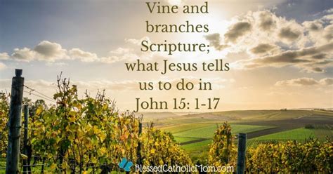 Vine And Branches Scripture What Jesus Tells Us To Do In John 15 1 17