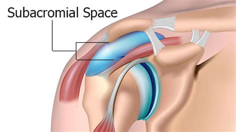 The Empty Can Test Subacromial Impingement Pilates Therapy Blog