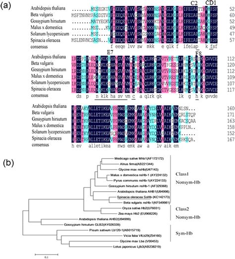 Analysis Of The Deduced Amino Acid Sequence Of Sohb A Multiple