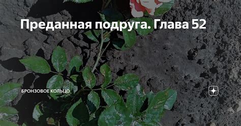 Преданная подруга. Глава 52 | Бронзовое кольцо | Дзен