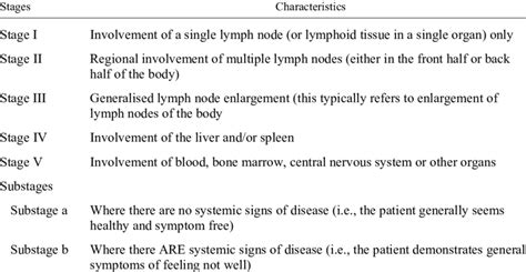 What Are The Stages Of Lymphoma In Dogs