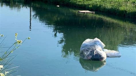 Sacchi Di Rifiuti Abbandonati Nel Canale Piavesella Atto Incivile