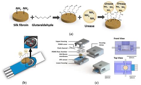 Sensors Free Full Text Fabrication Of A Urea Biosensor For Real