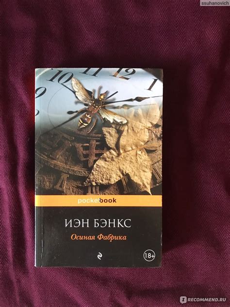Осиная Фабрика. Йэн Бэнкс - «Книга 18+, которая не оставит Вас ...