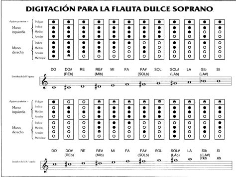 Aprende A Tocar La Flauta Dulce En Pasos Tecno Educare Paideia