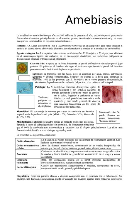 Amebiasis Amebiasis La Amebiasis Es Una Infección Que Afecta A 100 Millones De Personas Al Año