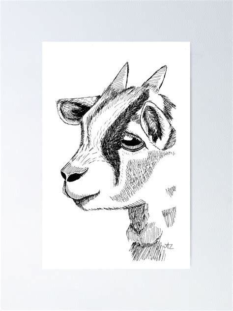 Baby Goat Poster By CallMeZeldy Redbubble