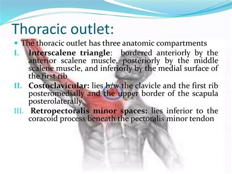 Thoracic Outlet Syndrome TOS PPT