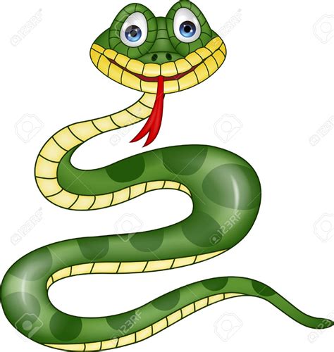 Anaconda Clipart Clipart Best
