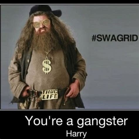 Harry potter memes, Gangster, Harry potter swag