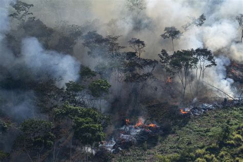 Queimadas No Amazonas Causam Instabilidade Na Internet Em Roraima