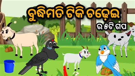 Budhimati Tiki Chadhei Odia Gapa Bird Story Storytelling Cartoon