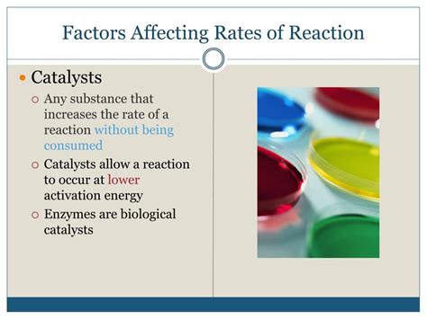 Ppt Rates Of Reaction And Chemical Equilibrium Powerpoint Presentation Id 2568714