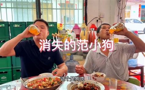 表哥进城后请范叔下馆子，桌上惊现狗肉，范小狗不知所踪 带带勇次郎 带带勇次郎 哔哩哔哩视频