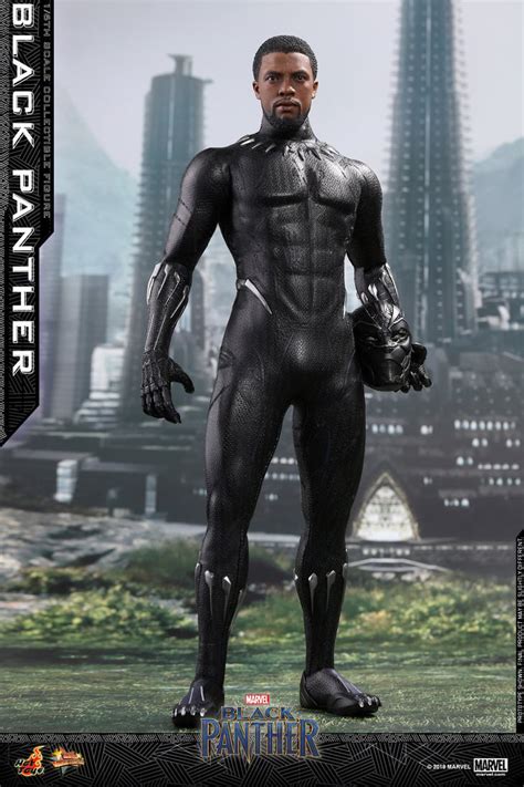 Hot Toys MMS 470 Black Panther Hot Toys Complete Checklist