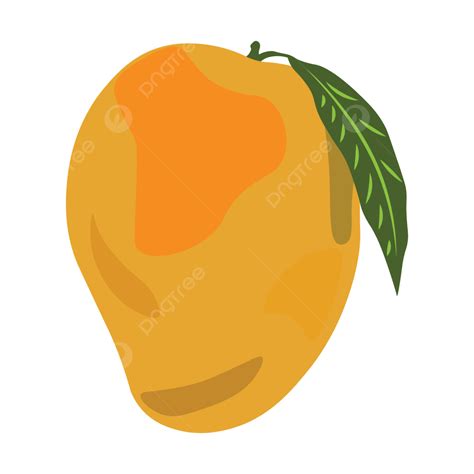 Gambar Desain Vektor Mangga Baru Mangga Mangga Kuning Mangga Matang