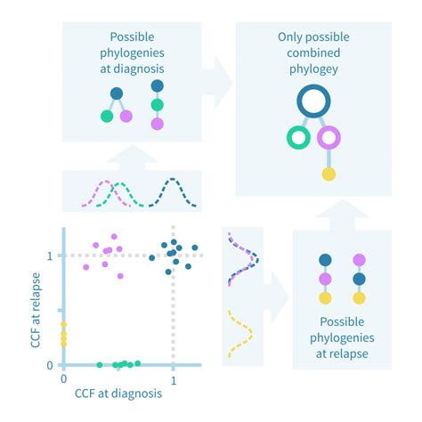 Clonal Evolutionary Analysis Of Cancer Genevia Technologies