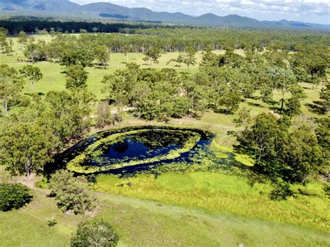404 Turkey Beach Road Turkey Beach Qld 4678 Domain