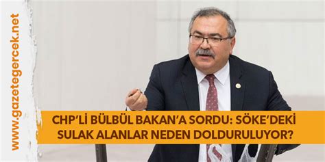 Chpl B Lb L Bakana Sordu S Kedek Sulak Alanlar Neden Dolduruluyor