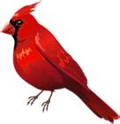 Red Cardinal Bird PNG Clipart | Gallery Yopriceville - High-Quality Free Images and Transparent ...