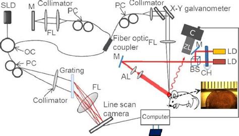 Schematic diagram of the multi-functional optical imaging system. SLD ... 