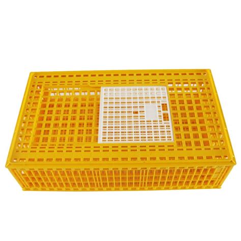 Poultry Broiler Quail Pigeon Plastic Chicken Transport Cages