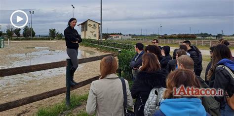 Alunni Del Notarangelo Rosati Di Foggia Alla Scoperta Del Mondo