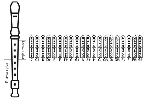 Podstawy gry na flecie Proste nuty Zacznij grać na keyboardzie