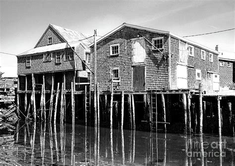 Seal Cove Grand Manan Photograph By Barbara Mcmahon
