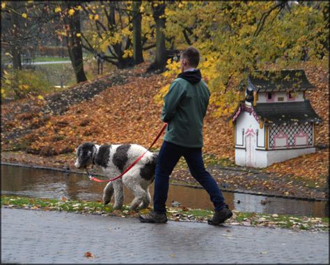 Hejskellefte Blogg Se Bilder Fr N Riga Lettland