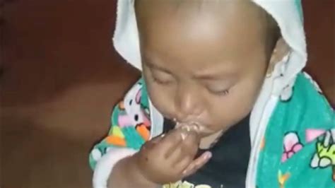 fruit nibbler  babies eating video baby laughing cute youtube