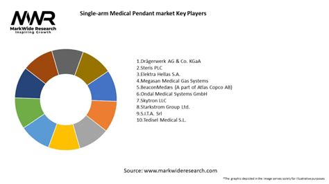 Single Arm Medical Pendant Market Size Share Growth