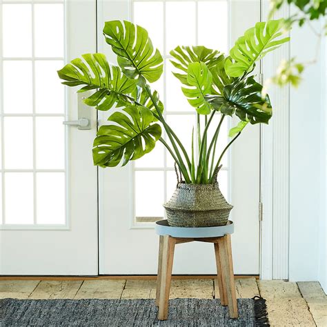 How To Pick The Best Fake Plants A Faux Plant Buying Guide 2021