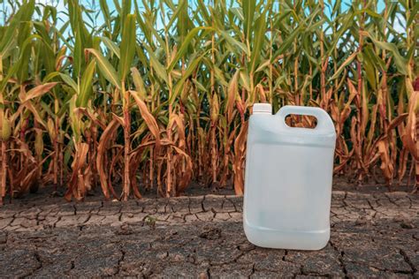 Herbicides – Definition – Advantages & Limitations of Herbicide usage