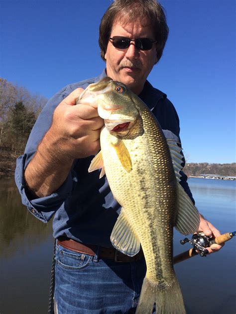 Table Rock Lake Fishing Cabinets Matttroy