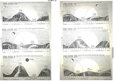 Solved How many high and low tides are there each day?18. | Chegg.com