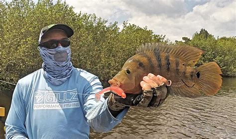 Mayan Invasion – Fishing for Mayan Cichlids in Central Florida