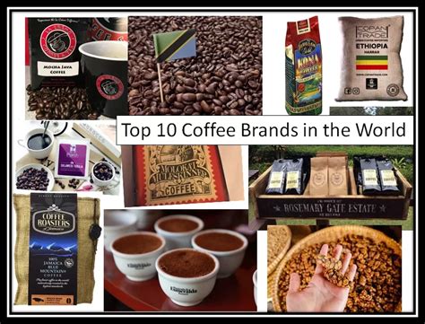 Best Coffee Brands 2025 Omar Clara