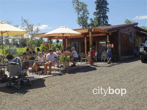 5 BEST Hood River Wineries