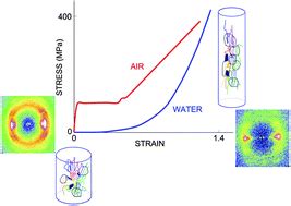 Spider silk and its outstanding mechanical properties – Soft Matter Blog