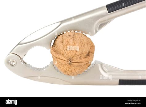 Nutcracker Tool Hi Res Stock Photography And Images Alamy