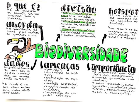 O Que Biodiversidade Resumo - MAPA MENTAL SOBRE BIODIVERSIDADE - Maps4Study