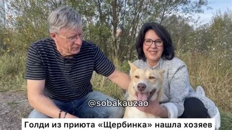 Голди из приюта «Щербинка» уехала домой! Проект Собака Юзао. Приют ...