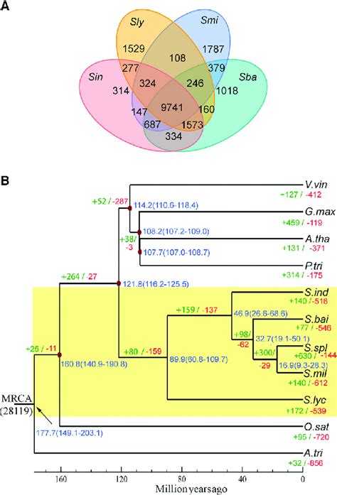 Comparative Genomic Analysis Download Scientific Diagram