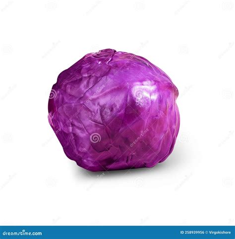 Organic Red Cabbage Isolated On White Background Stock Photo Image Of