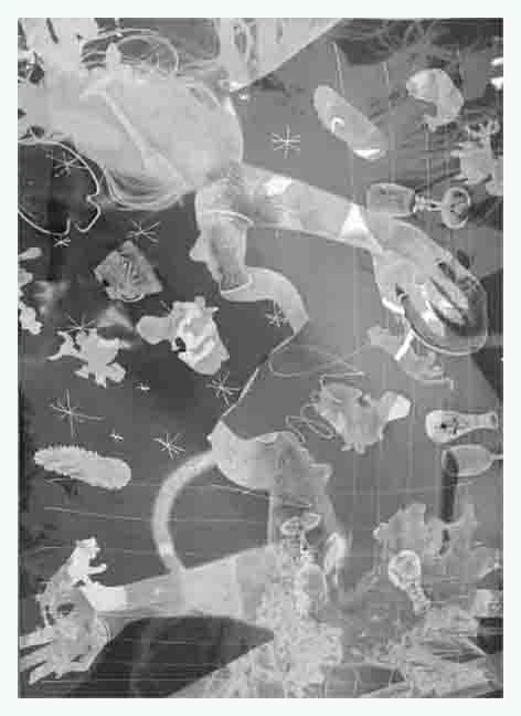 Photogram Vertebrae 12